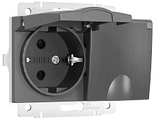 Розетка с заземлением без рамки Werkel 1-м. 2-мод. крышка шторки IP44 графит рифленый картинка